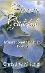 FG Kindle Cover (Purple)