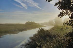 Autumn morning Oct 06 2013_1014 (1)
