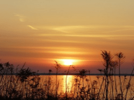 Sunset (for Centre of ..)