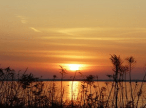 Sunset (for Centre of ..)